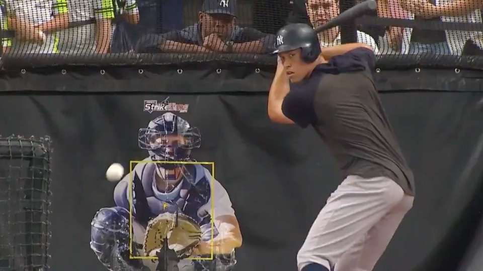 Pro Strike Zone batting cage practice