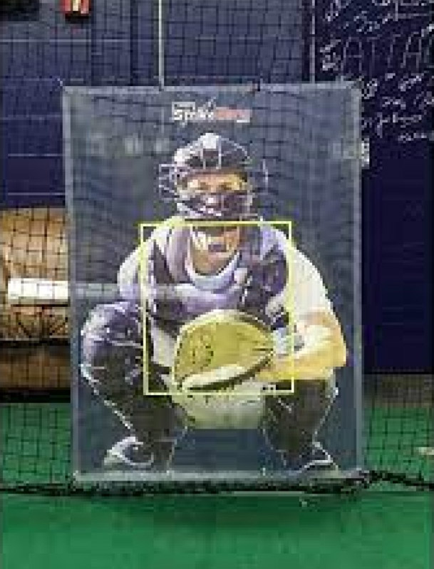 Pro Strike Zone Mesh Backstop