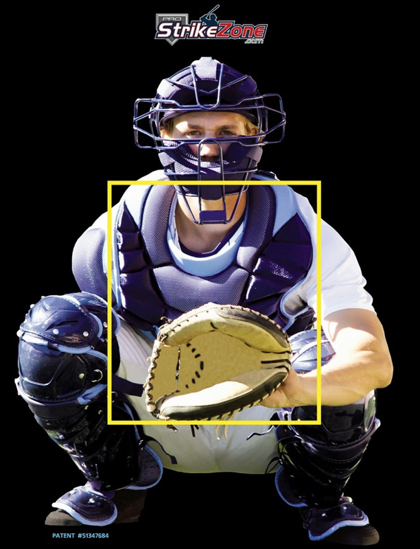 Pro Strike Zone Standard Backstop